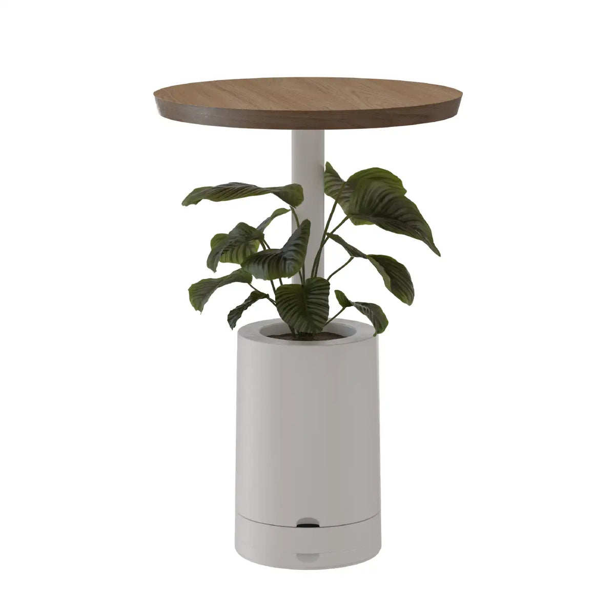 Mesa de Apoio com Vaso para Planta Elements Amiata